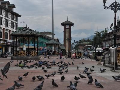 Best of Kashmir | FREE Shikara Ride Day 2