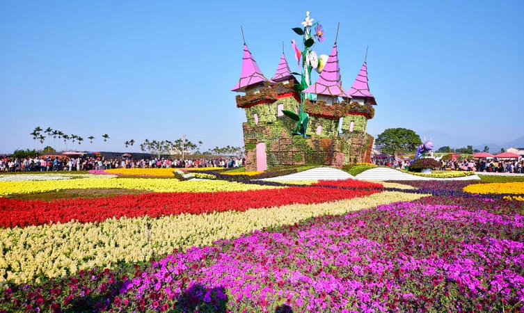 Xinshe Sea Of Flowers