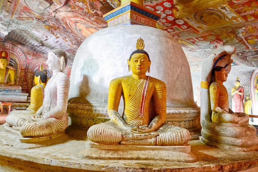 Dambulla Cave Temple Tour Image