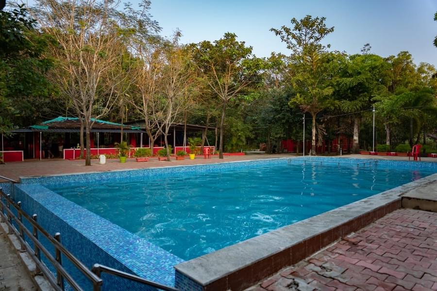 Dandeli Jungle Camping Image
