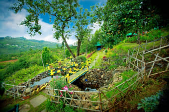 Camping Amidst Pear Orchard in Kodaikanal