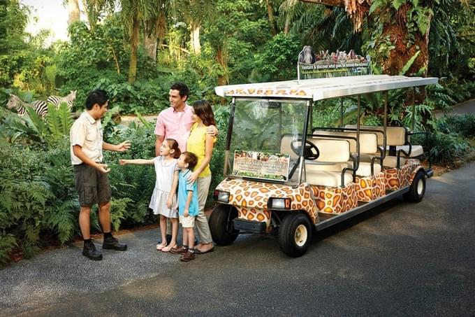 golf cart in Khao Kheow Open Zoo