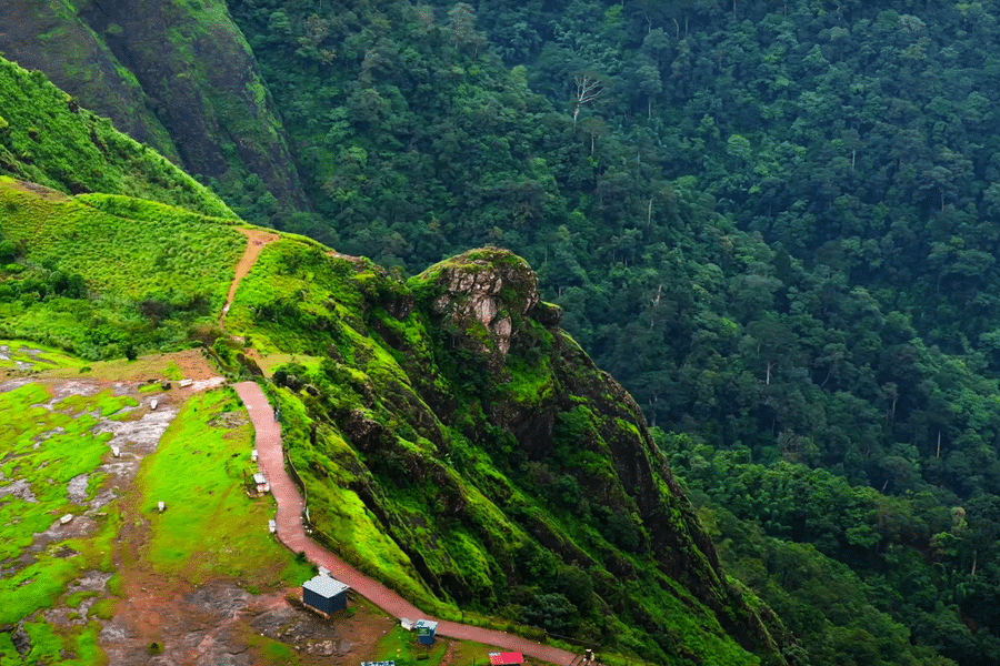 Munnar Sightseeing Tour Image