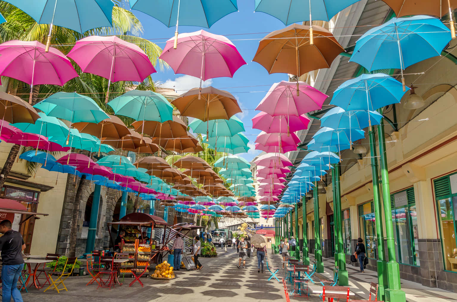 Day Tour in North Mauritius