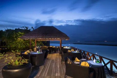 Activity & SightSeeing Image