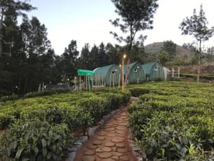 Exterior View of the Homestay