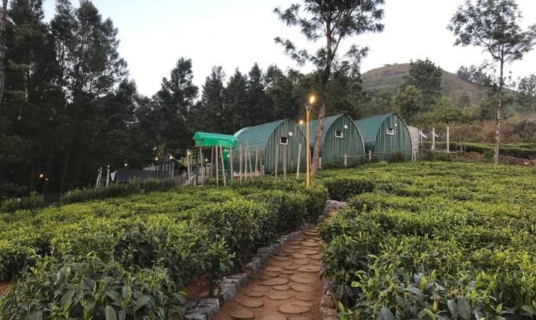 50 Homestays In Ooty Get Upto 50 Off On Ooty Homestays