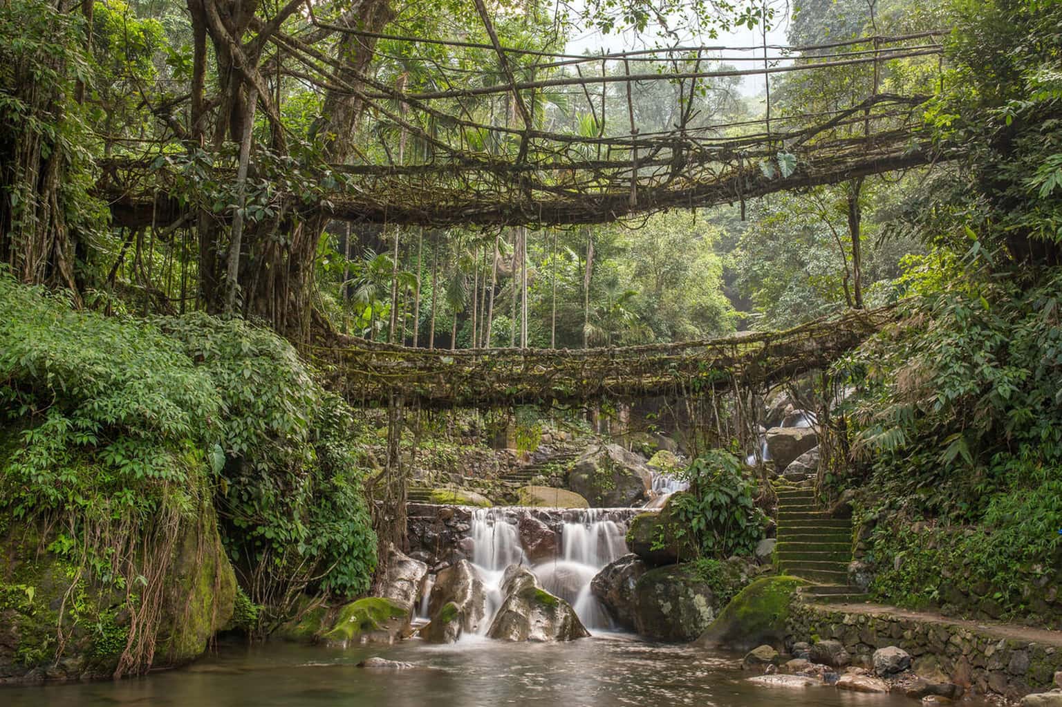 Double Decker Living Root Bridge Trek, Meghalaya
