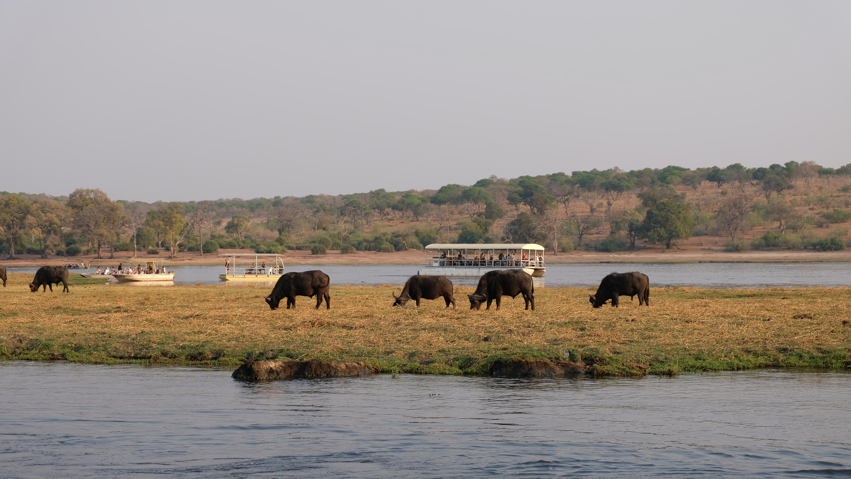 Chobe River Botswana Overview