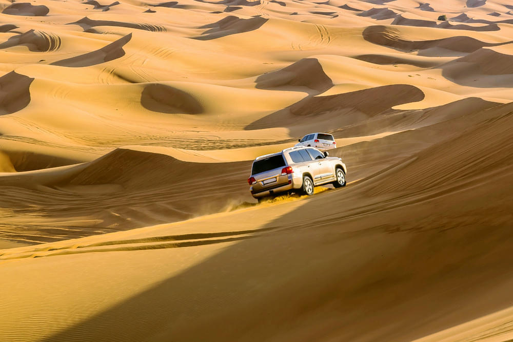 Desert safari.