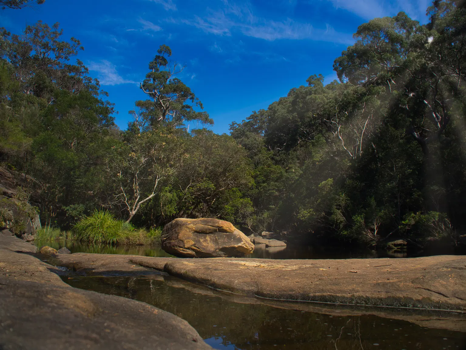 Garigal National Park