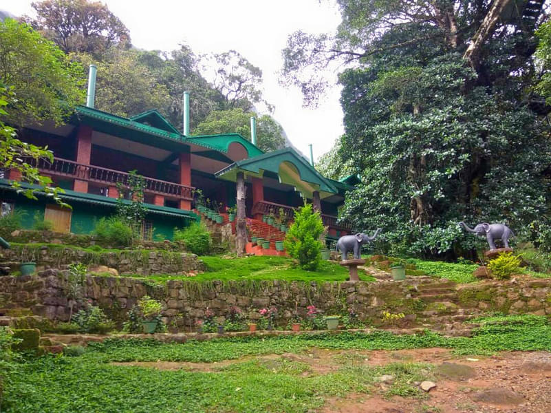 Tree House Stay in Wayanad Image