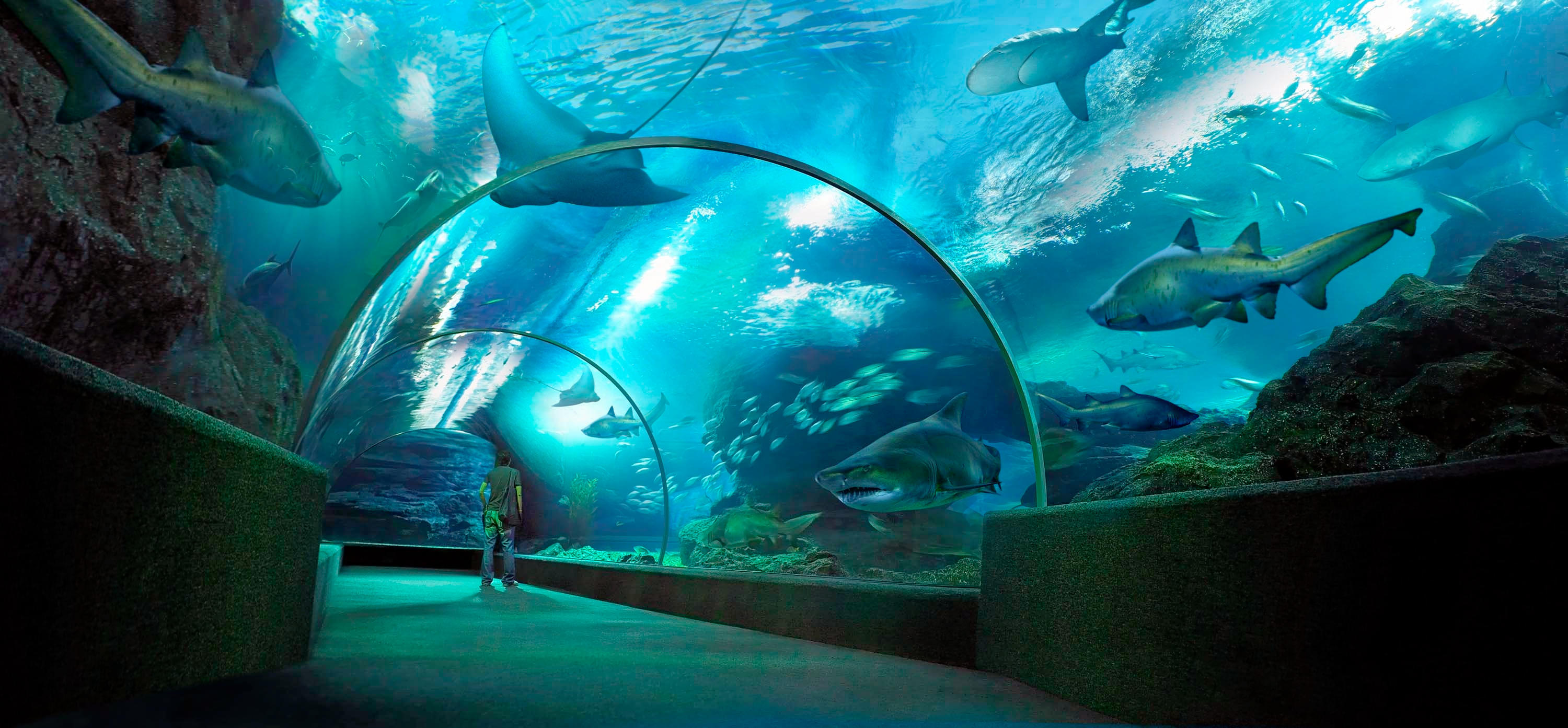 Aquariums In Asia