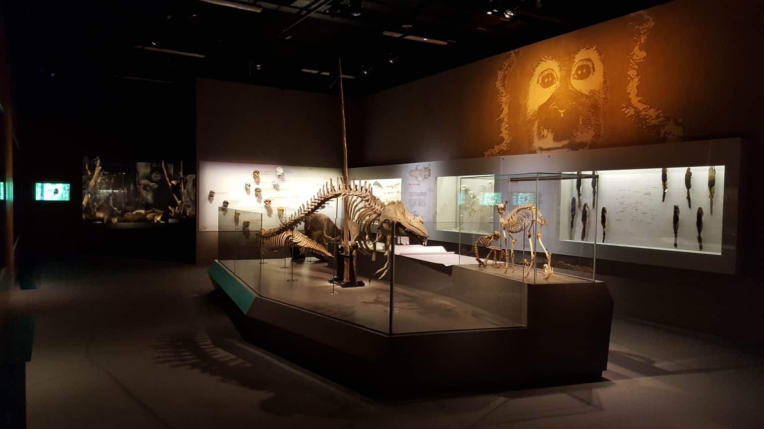 Heritage Gallery