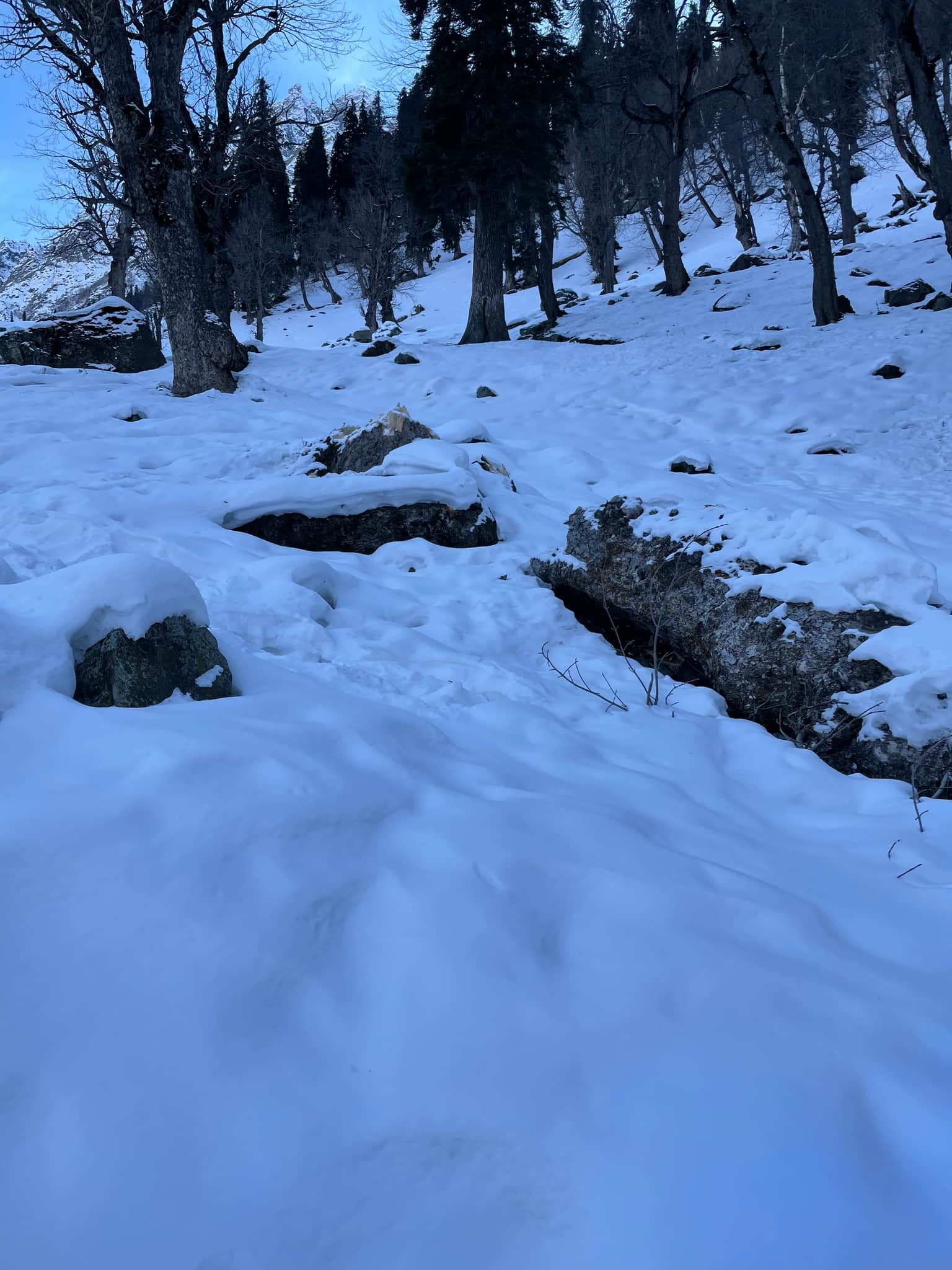 Photo from Aravind  M's trip
