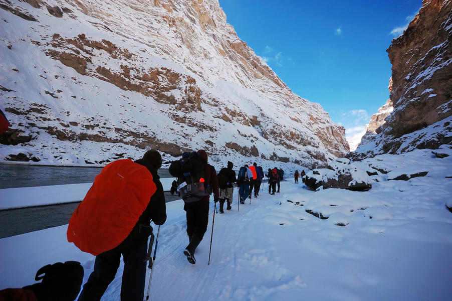 Marvel the beauty of nature with the snow leopard trek as you walk beside the famous frozen Zanskar river. 