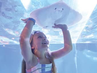 Take photos of your child having fun