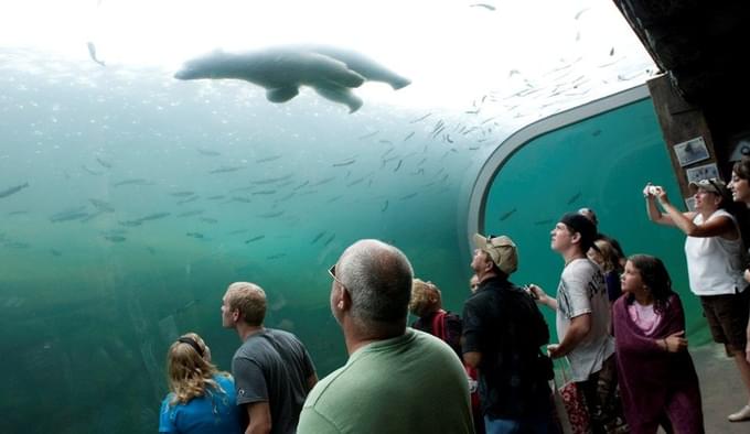 People watching Marine Animals in Columbus Aquarium