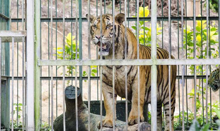 Maharaj Baug & Zoo
