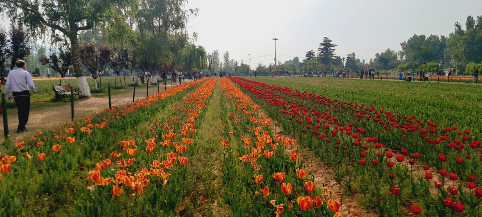 Photo from Samrat  Chowdhury 's trip
