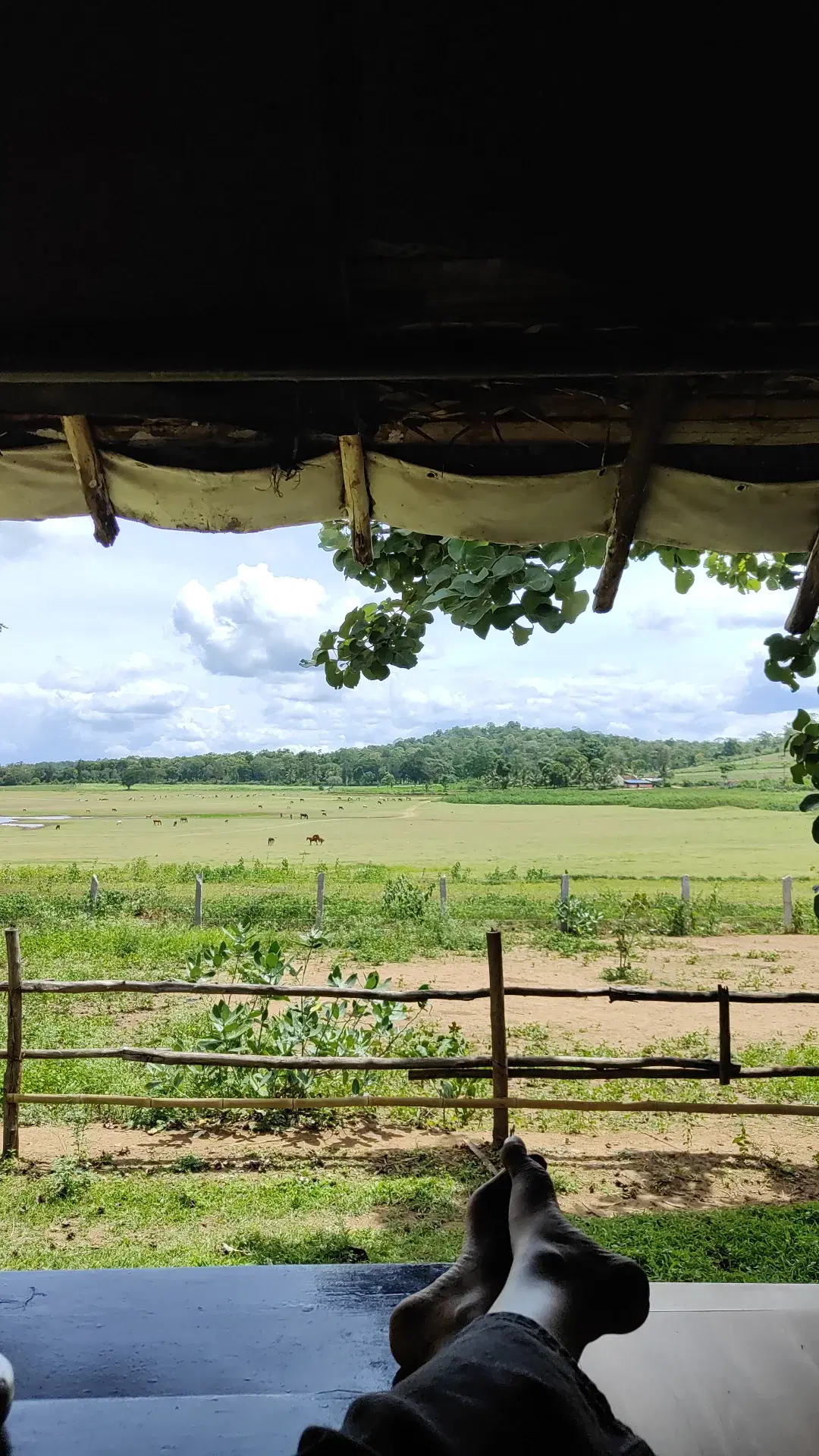 Photo from Priyam Mittal's trip