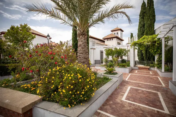 Mezquita Mayor de Granada