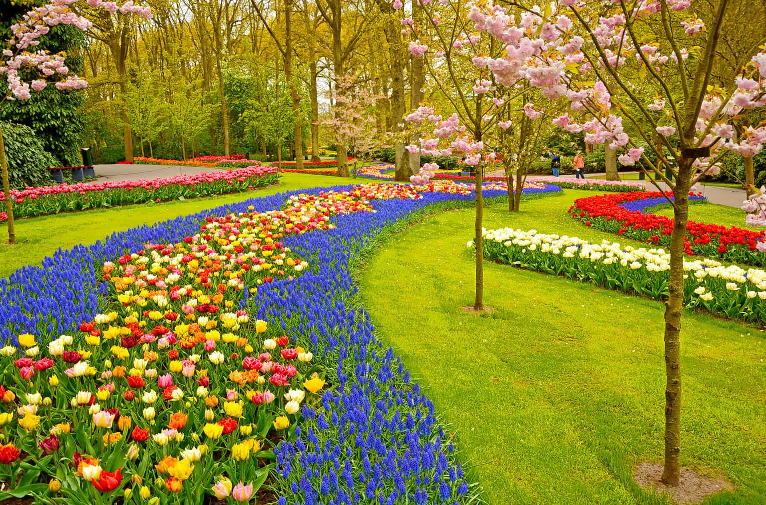 Mapro Garden