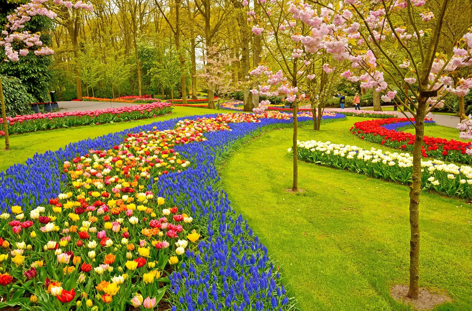 Mapro Garden