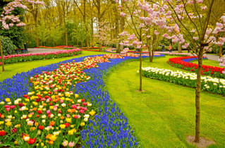 Bytwnl7aoilq9yd98titjtn9vxtm keukenhof gardens lisse netherlands