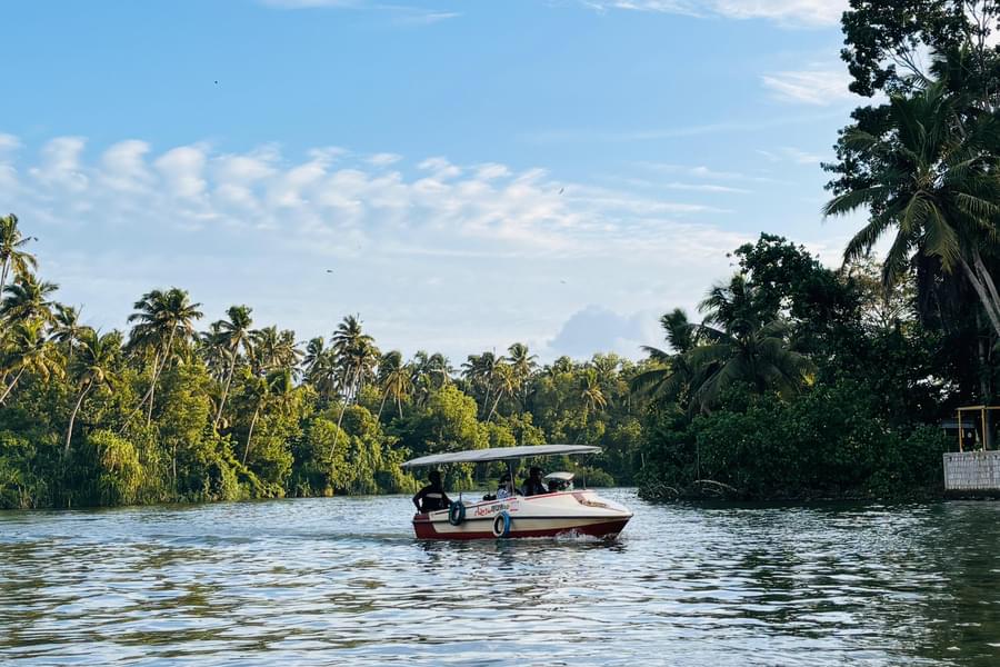 Poovar Island Boating Image