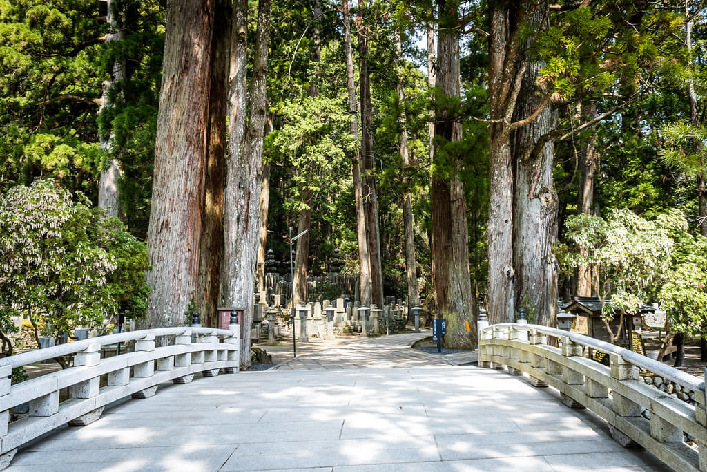 Visit the Ichinohashi Bridge