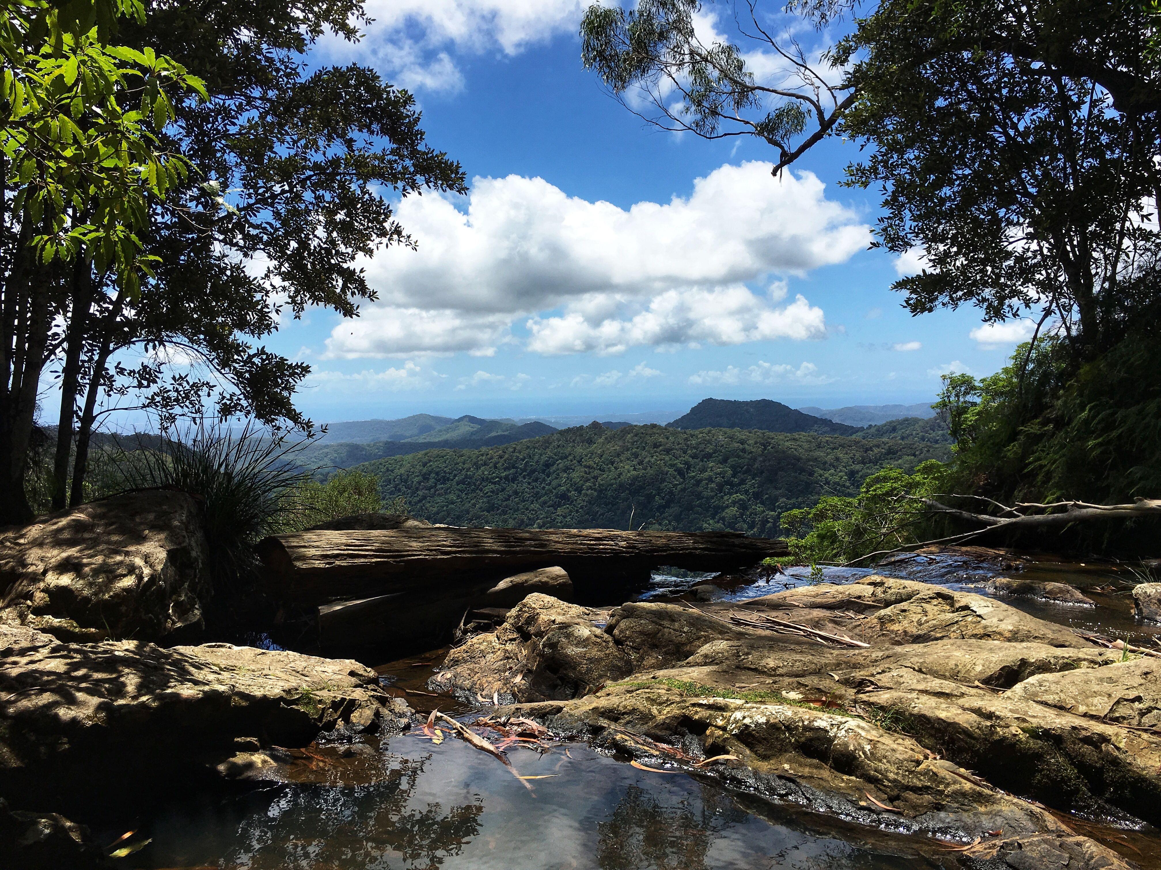 Springbrook National Park Tour