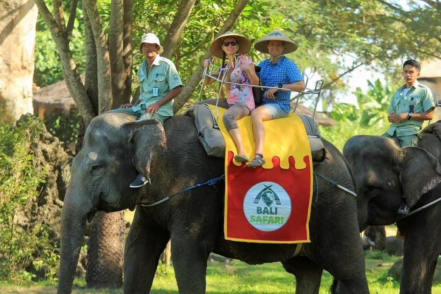 Elephant Safari Bali