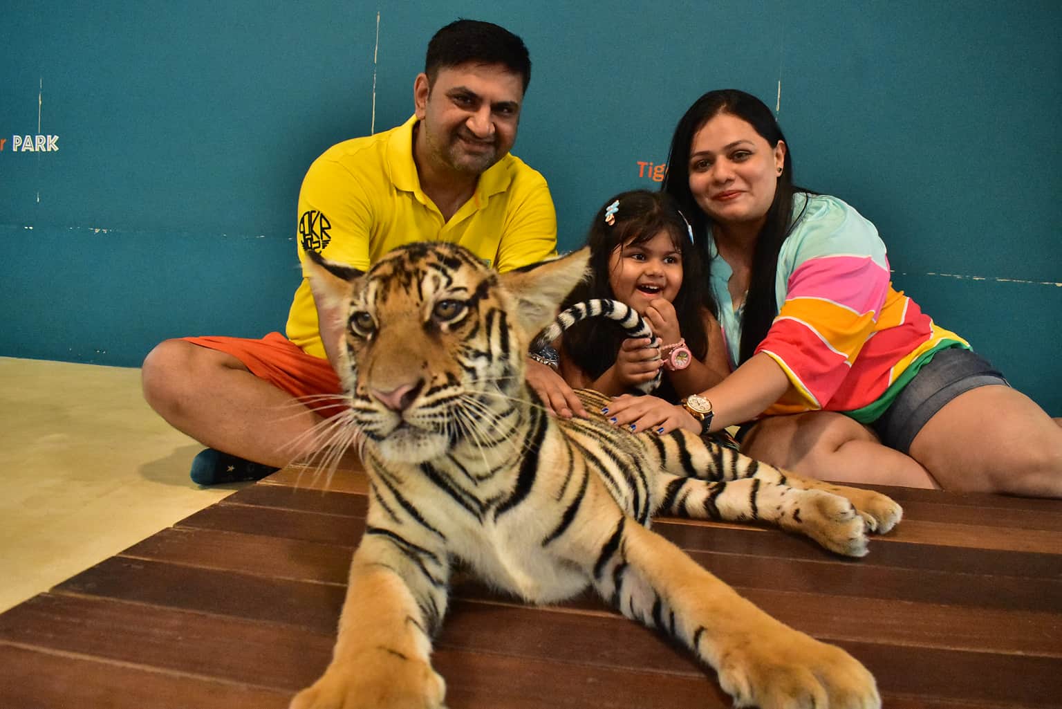 Photo from bhavin parekh's trip