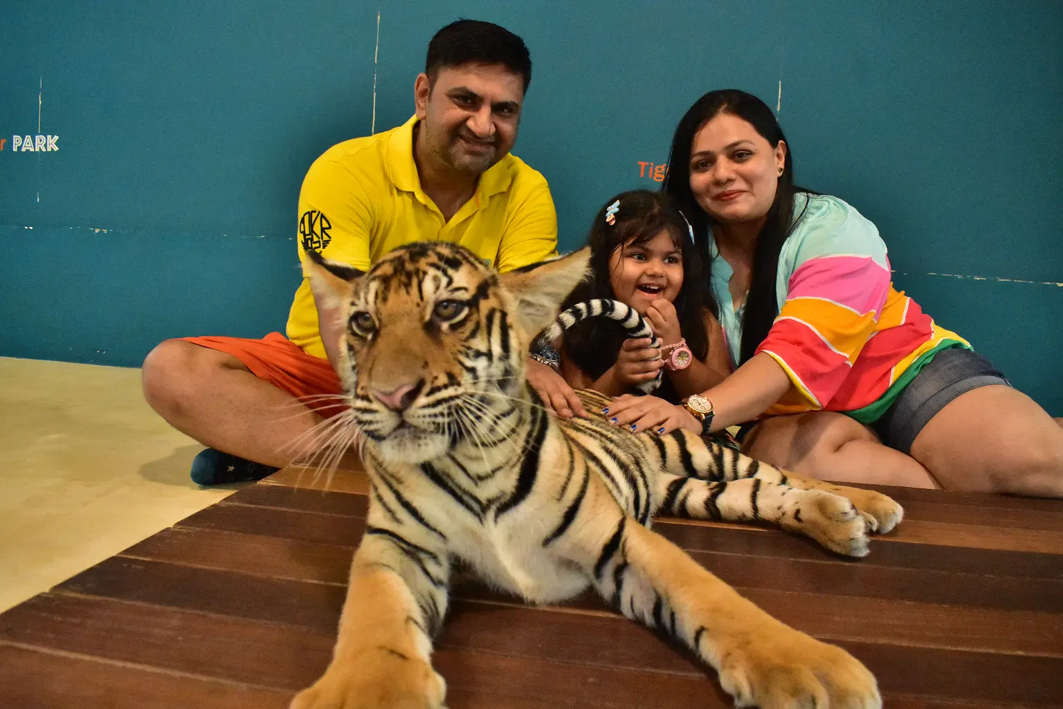 Photo from bhavin parekh's trip
