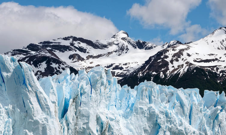 Glacier Garden