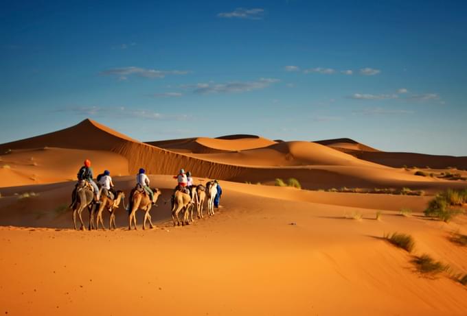 camel ride abu dhabi