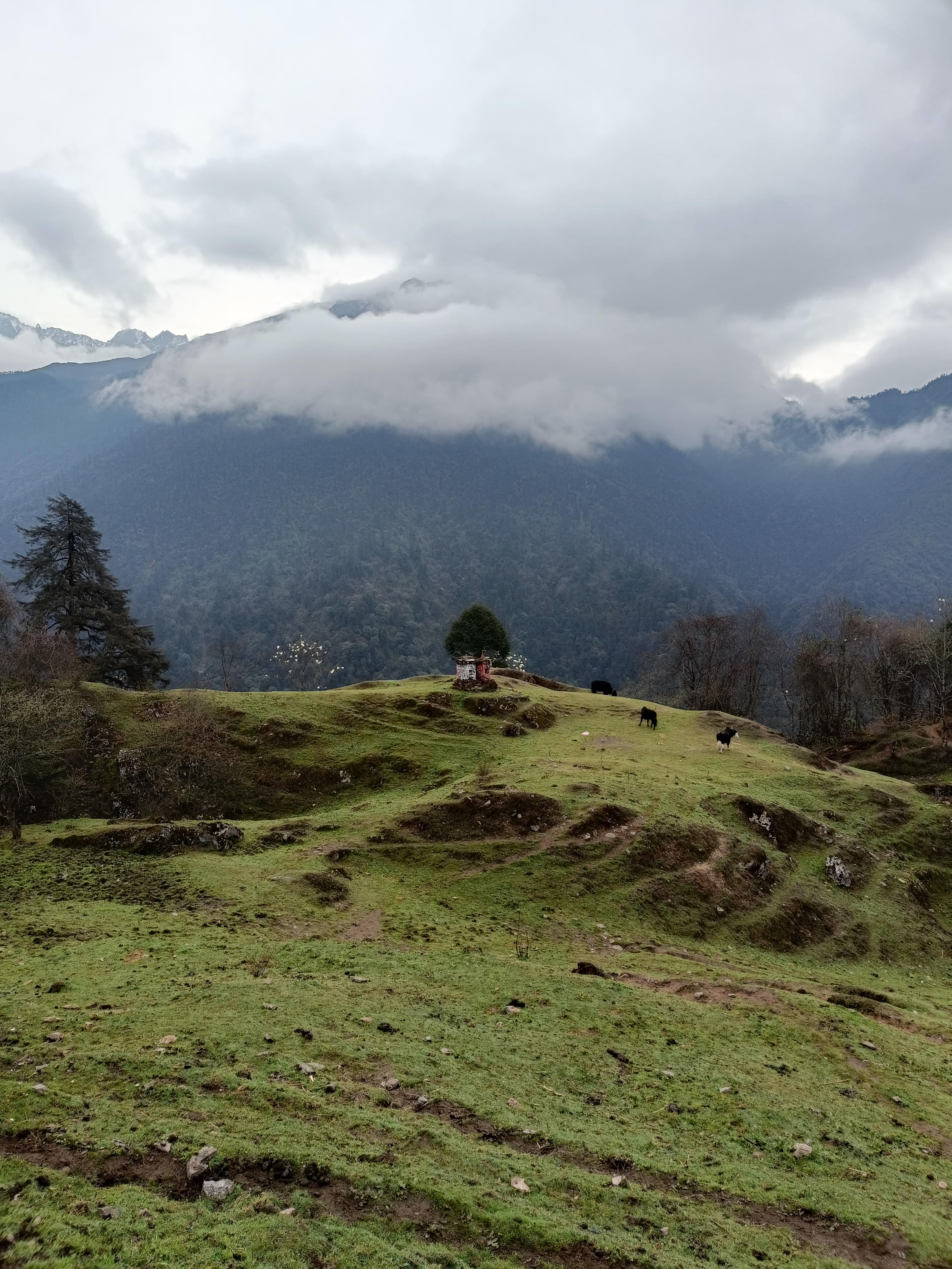 Suren Chettri