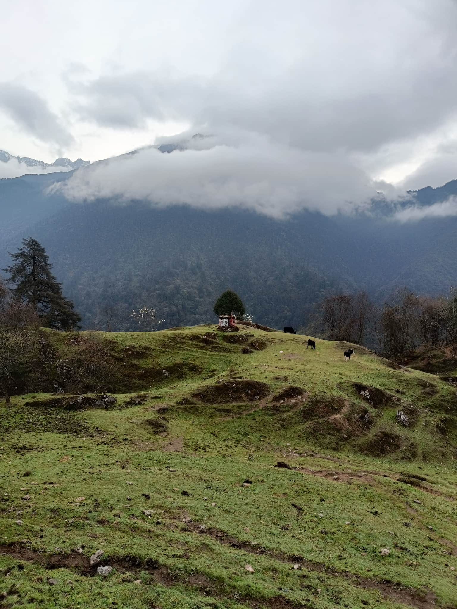 Photo from Suren Chettri's trip