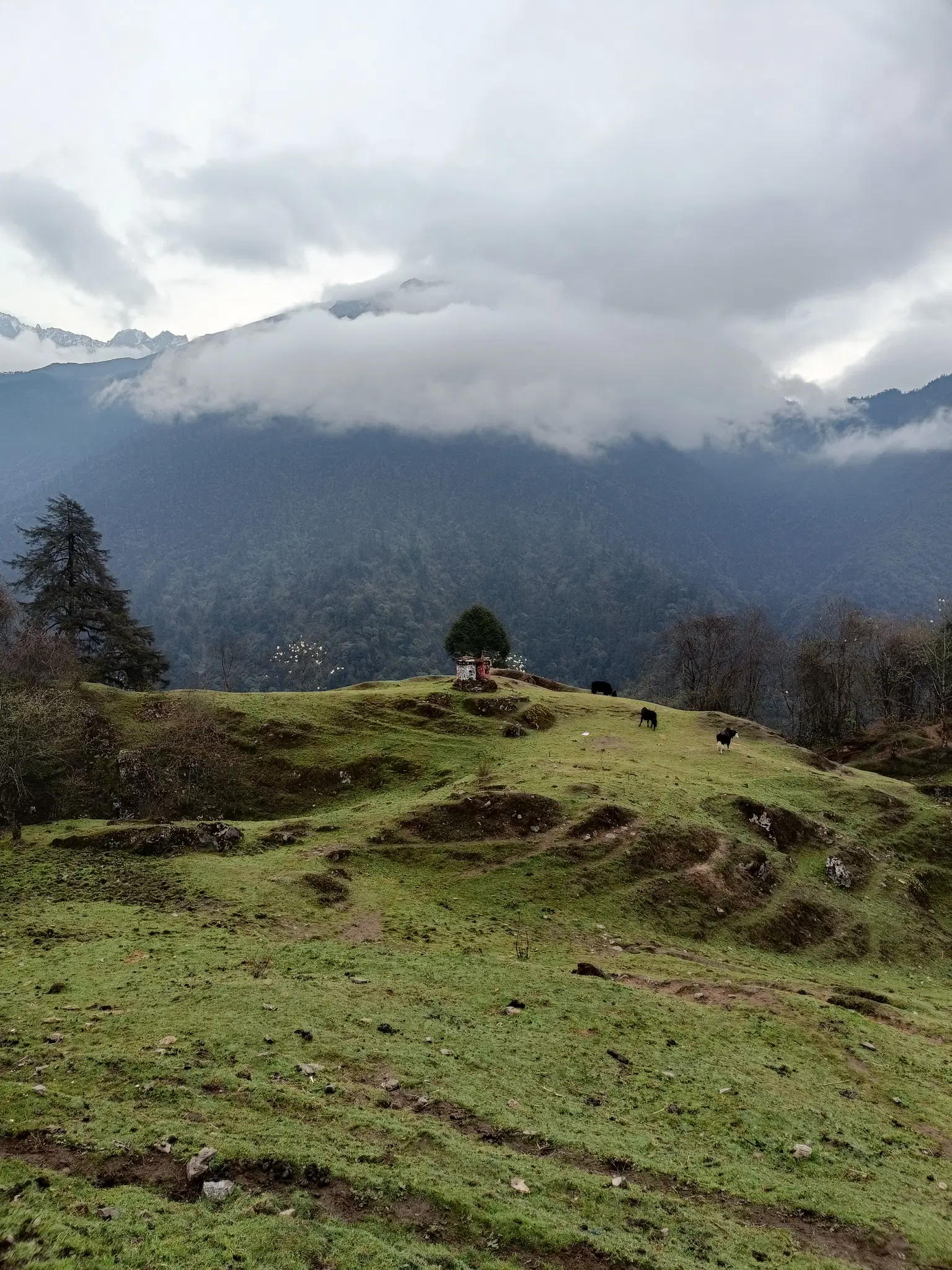Photo from Suren Chettri's trip