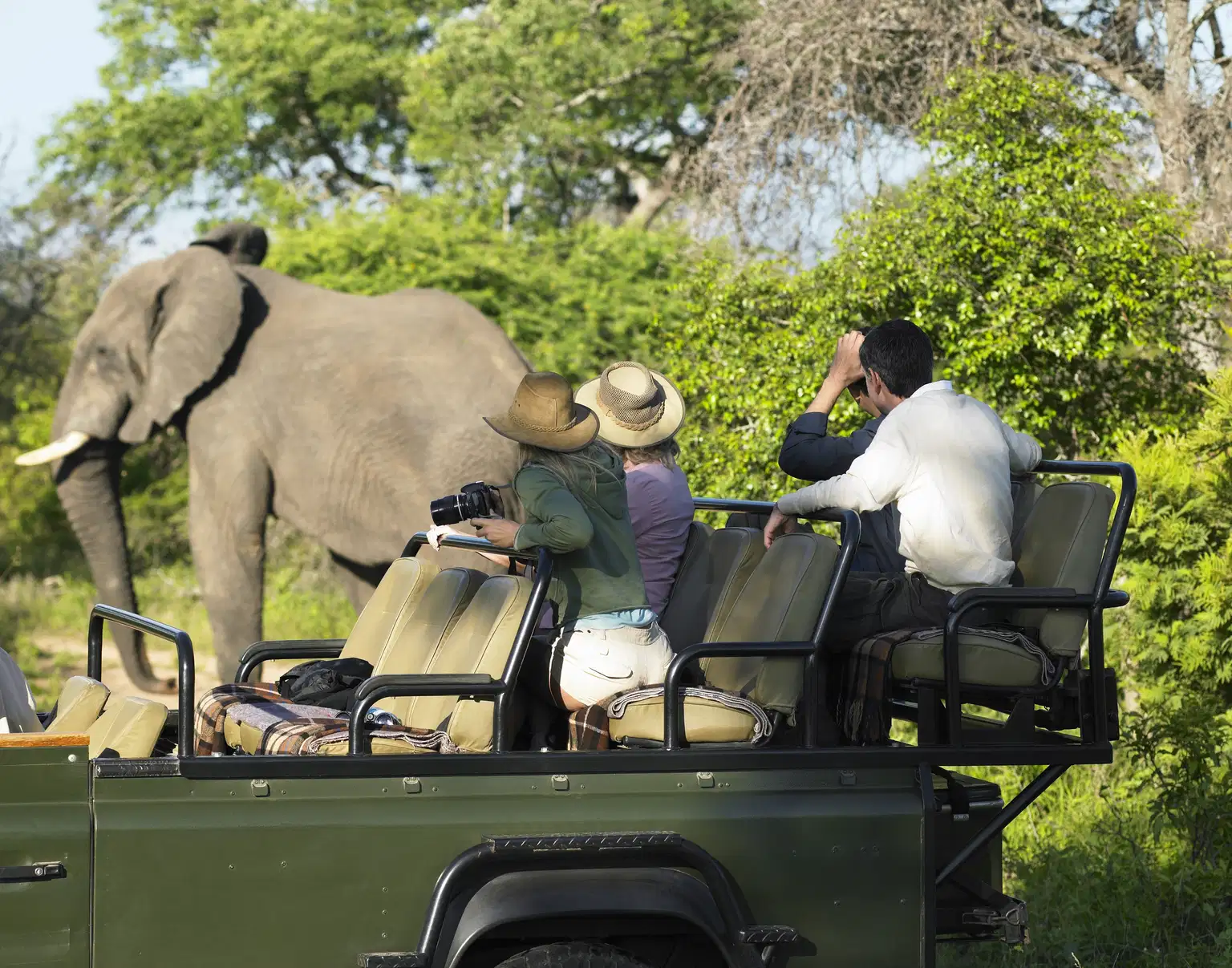 Mudumalai Buffer Zone Jeep Safari, Ooty