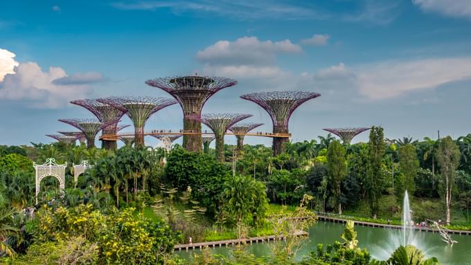 Gardens By the Bay