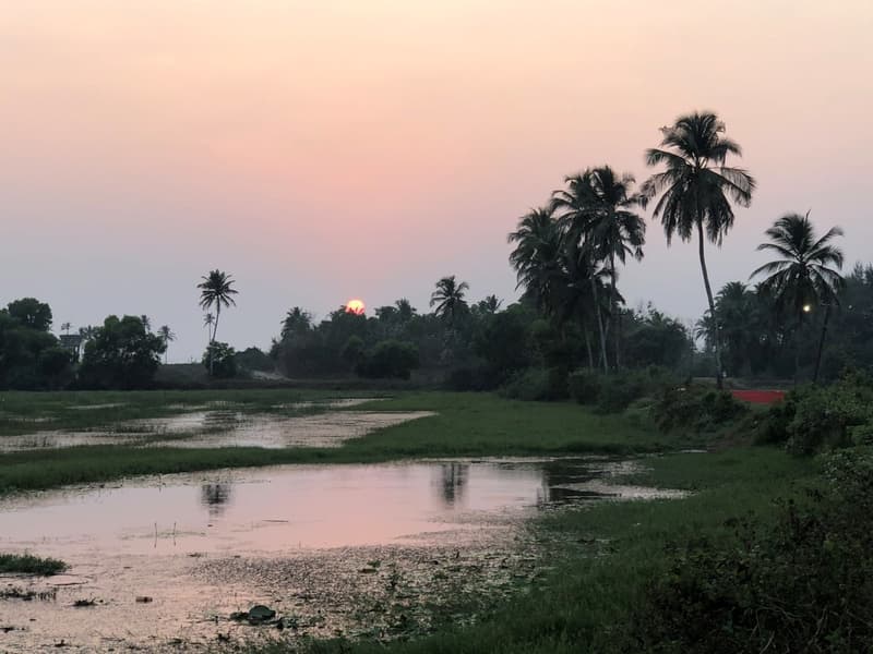 Ebike Village Tour of Colva, Goa Image