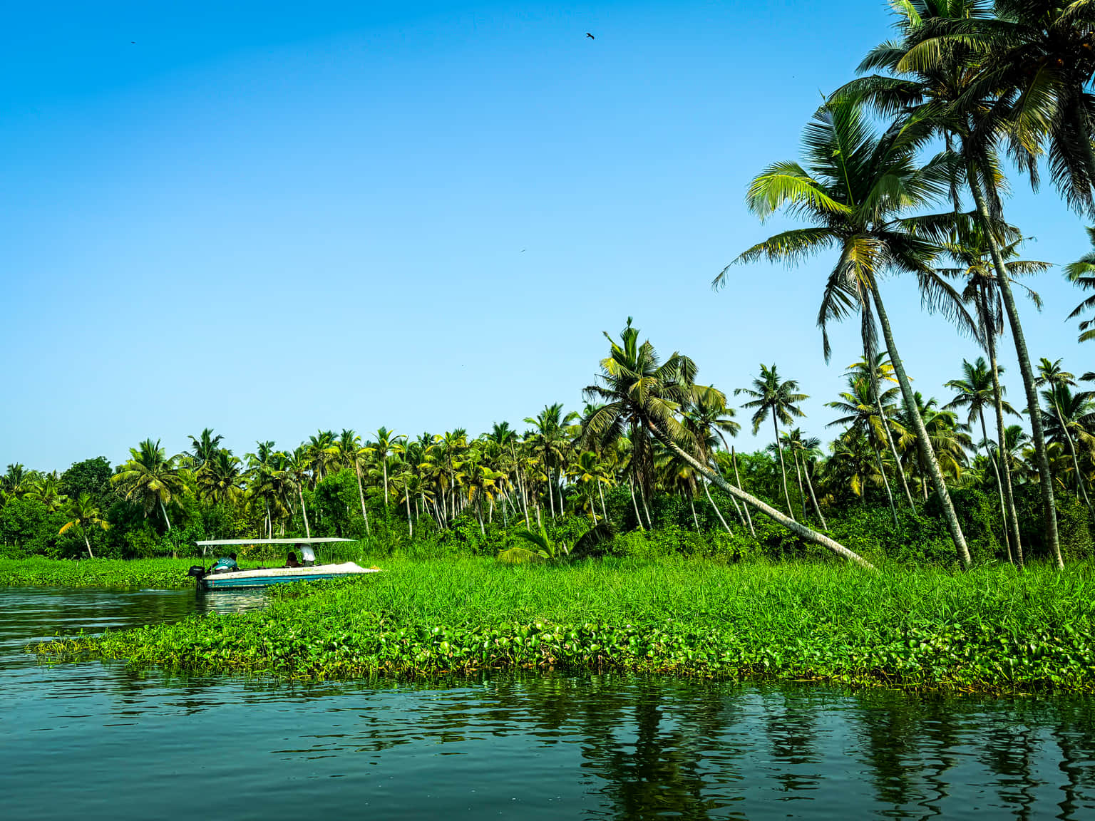 Photo from zarnesh kanojia's trip