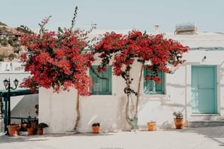 C1bqoxu6d64w6dki3k7xqq3utvca lefk%c3%a9s%20village