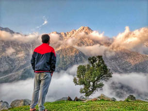 C1bxkd09wd0jjqg29v5cdxosg8kp 1588401624 1539411412 1539411387052