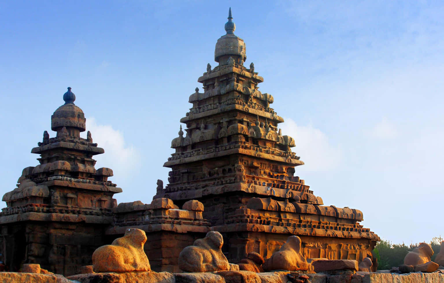 Highlights of Tamil Nadu | From Historic Forts to Artisan Alleys