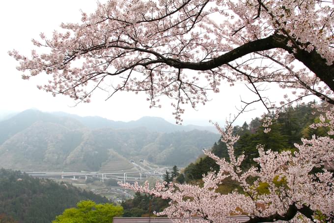 Mt. Takao