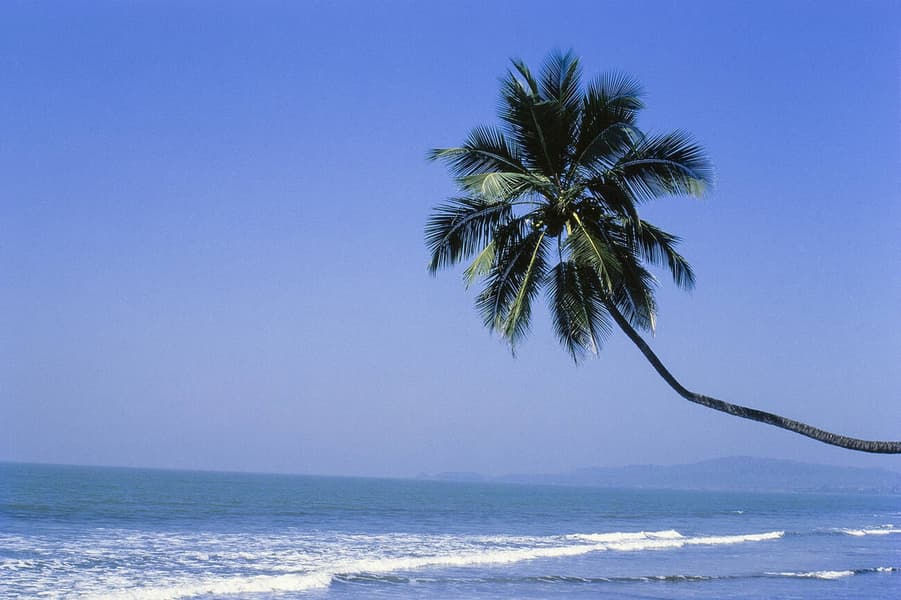 Mumbai to Dapoli Sightseeing Tour Image
