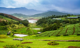 Ooty Lake surrounded with lush greenery, Tamil Nadu